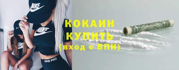 трава Снежногорск