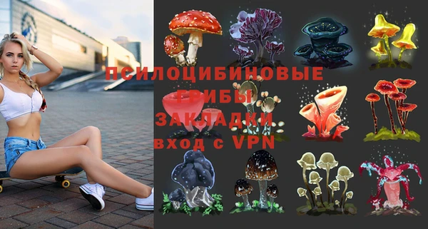 сатива Верхнеуральск