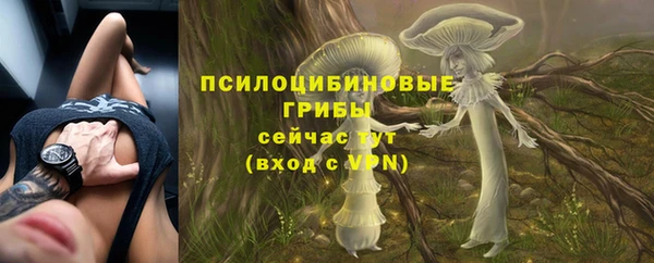 мет Верхний Тагил