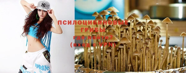сатива Верхнеуральск